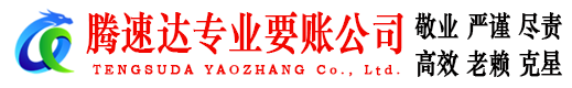 琅琊追债公司
